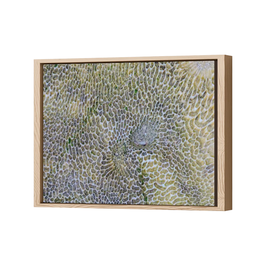 Thumbnail for Canvas - Wood Grain Floating Frame