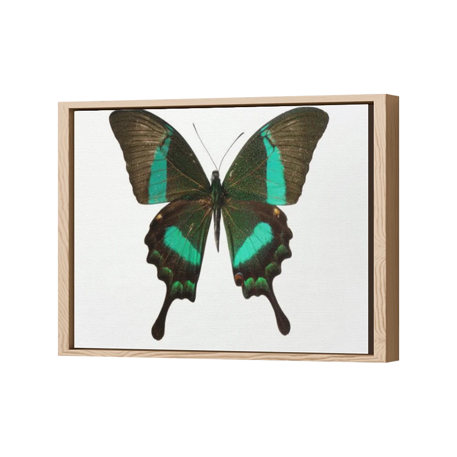 Thumbnail for Canvas - Wood Grain Floating Frame