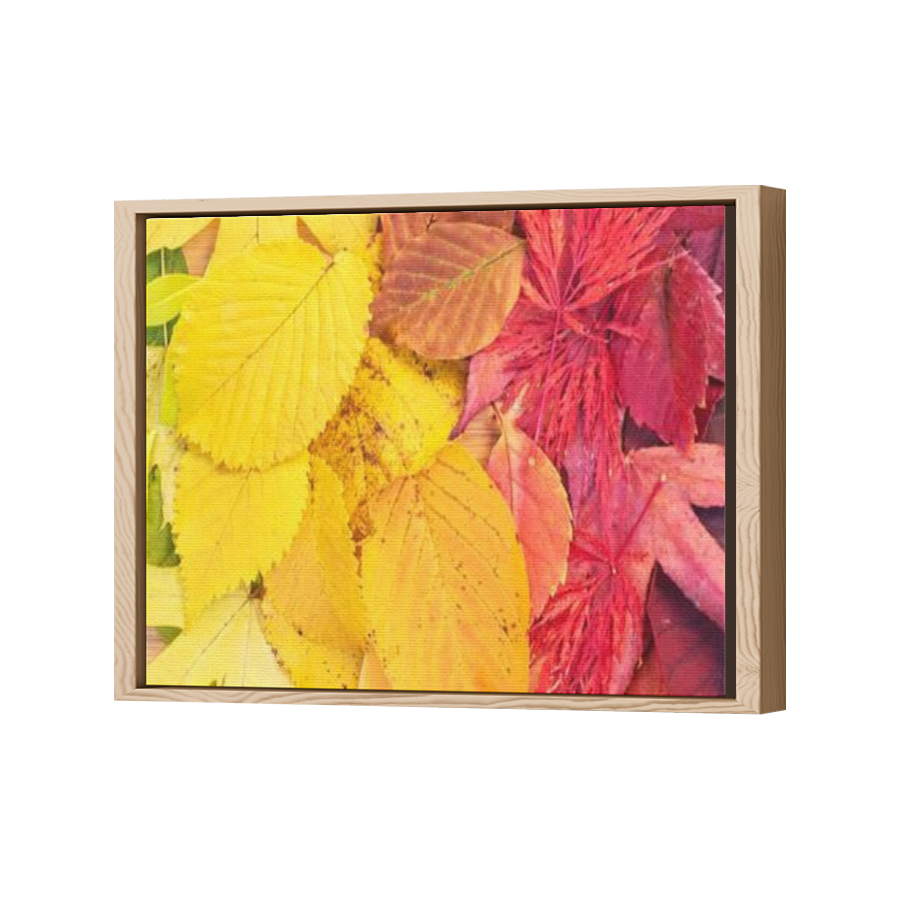 Thumbnail for Canvas - Wood Grain Floating Frame