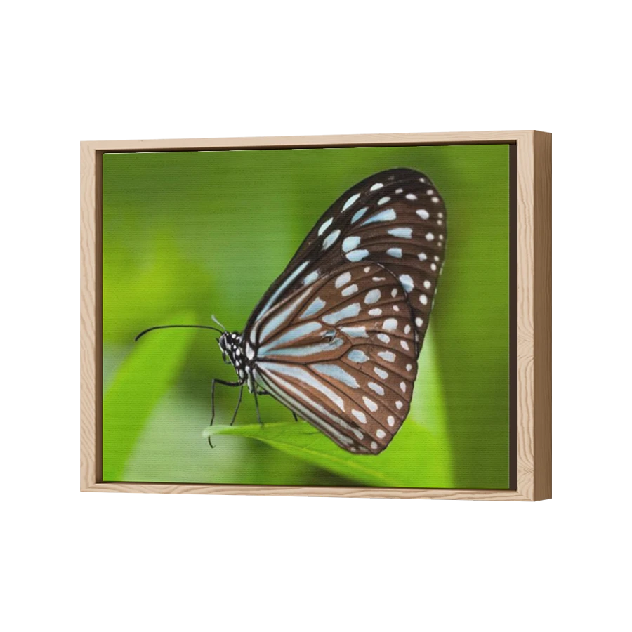 Thumbnail for Canvas - Wood Grain Floating Frame