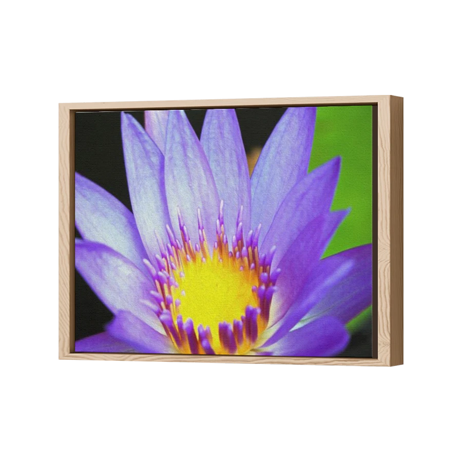 Thumbnail for Canvas - Wood Grain Floating Frame
