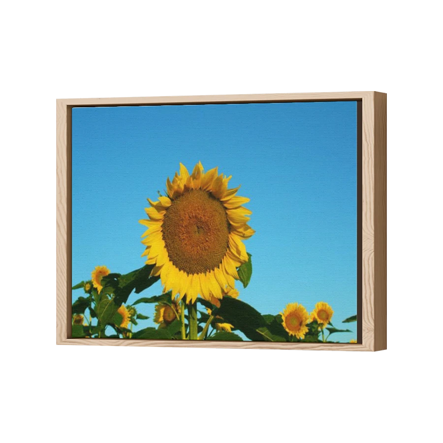 Thumbnail for Canvas - Wood Grain Floating Frame