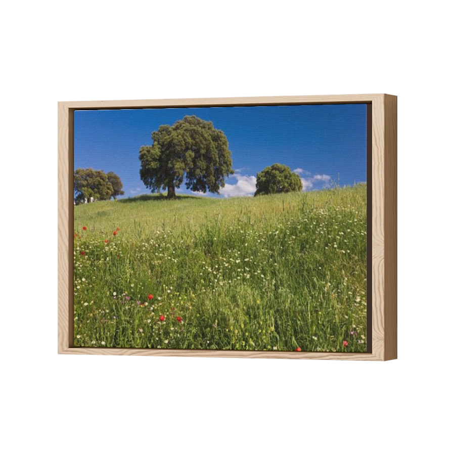 Thumbnail for Canvas - Wood Grain Floating Frame