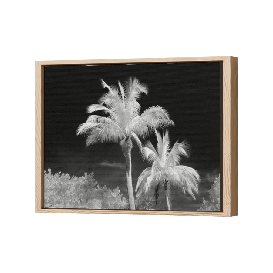 Thumbnail for Canvas - Wood Grain Floating Frame
