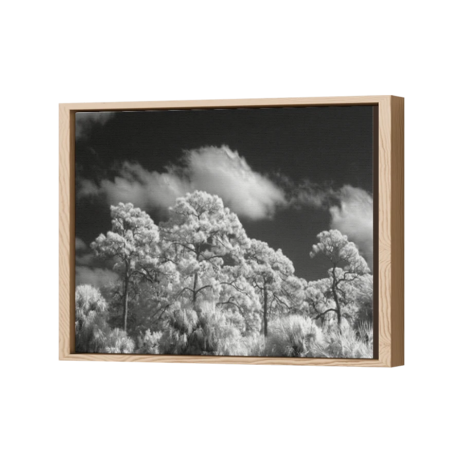 Thumbnail for Canvas - Wood Grain Floating Frame