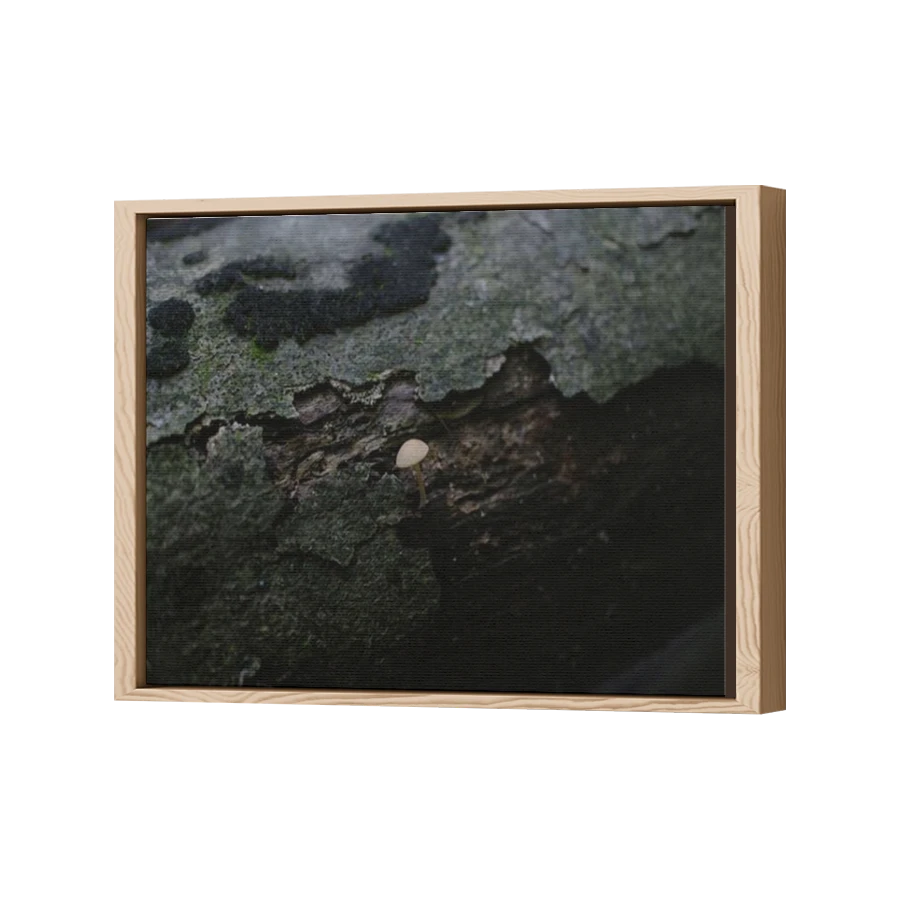 Thumbnail for Canvas - Wood Grain Floating Frame