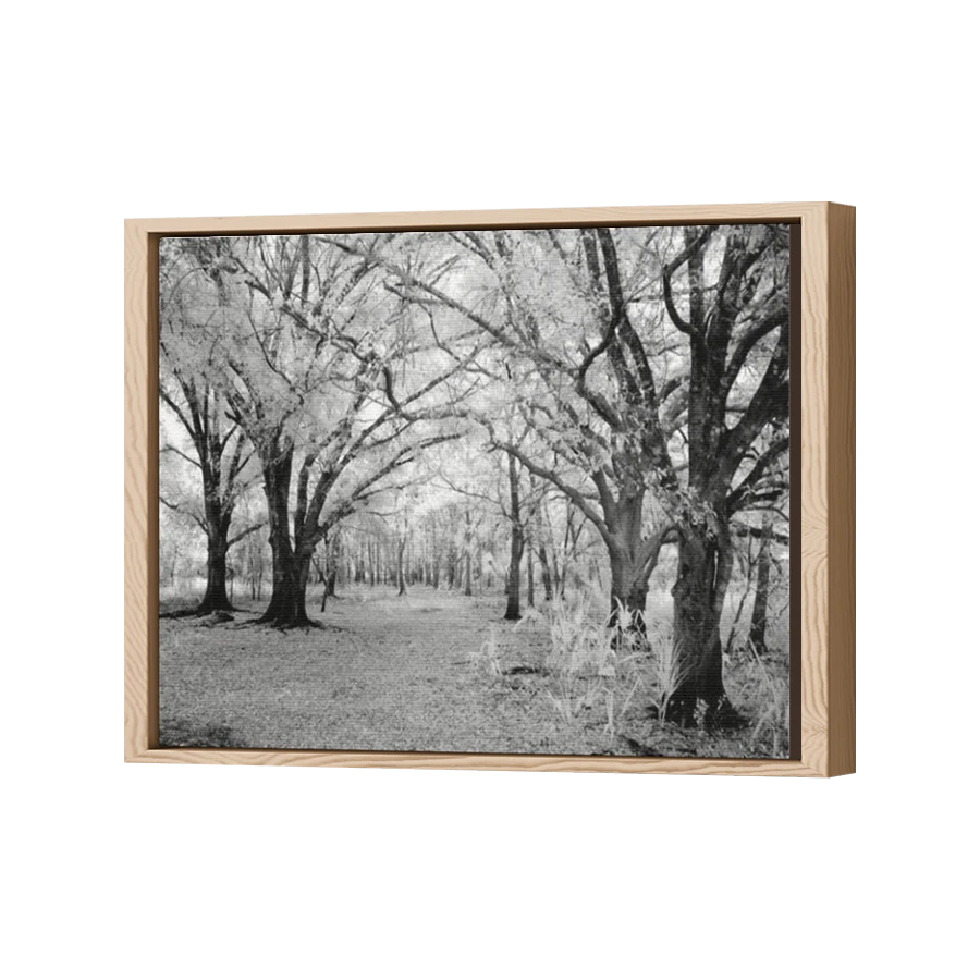 Thumbnail for Canvas - Wood Grain Floating Frame