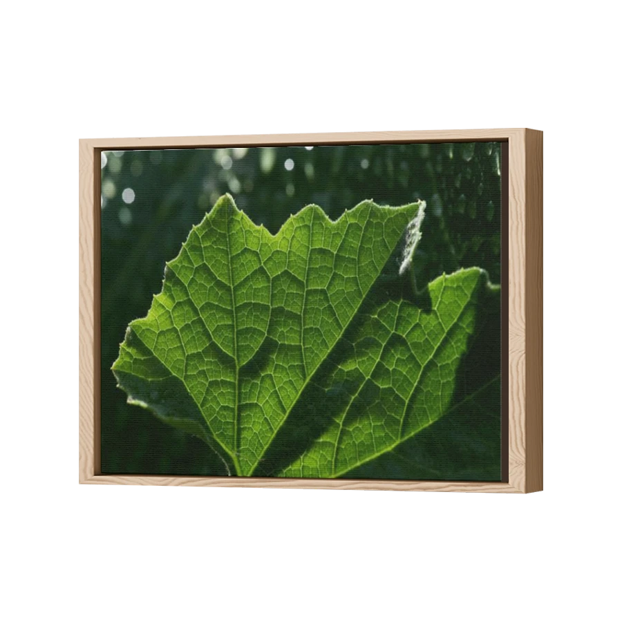 Thumbnail for Canvas - Wood Grain Floating Frame