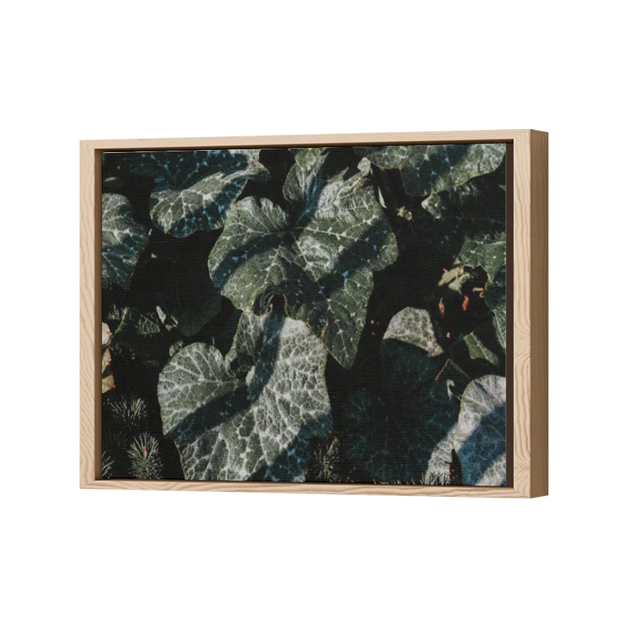 Thumbnail for Canvas - Wood Grain Floating Frame