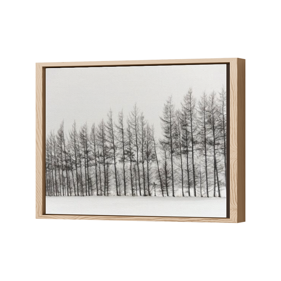 Thumbnail for Canvas - Wood Grain Floating Frame
