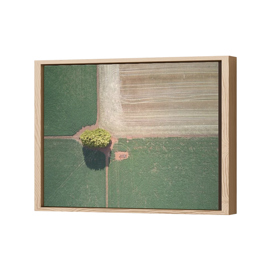 Thumbnail for Canvas - Wood Grain Floating Frame