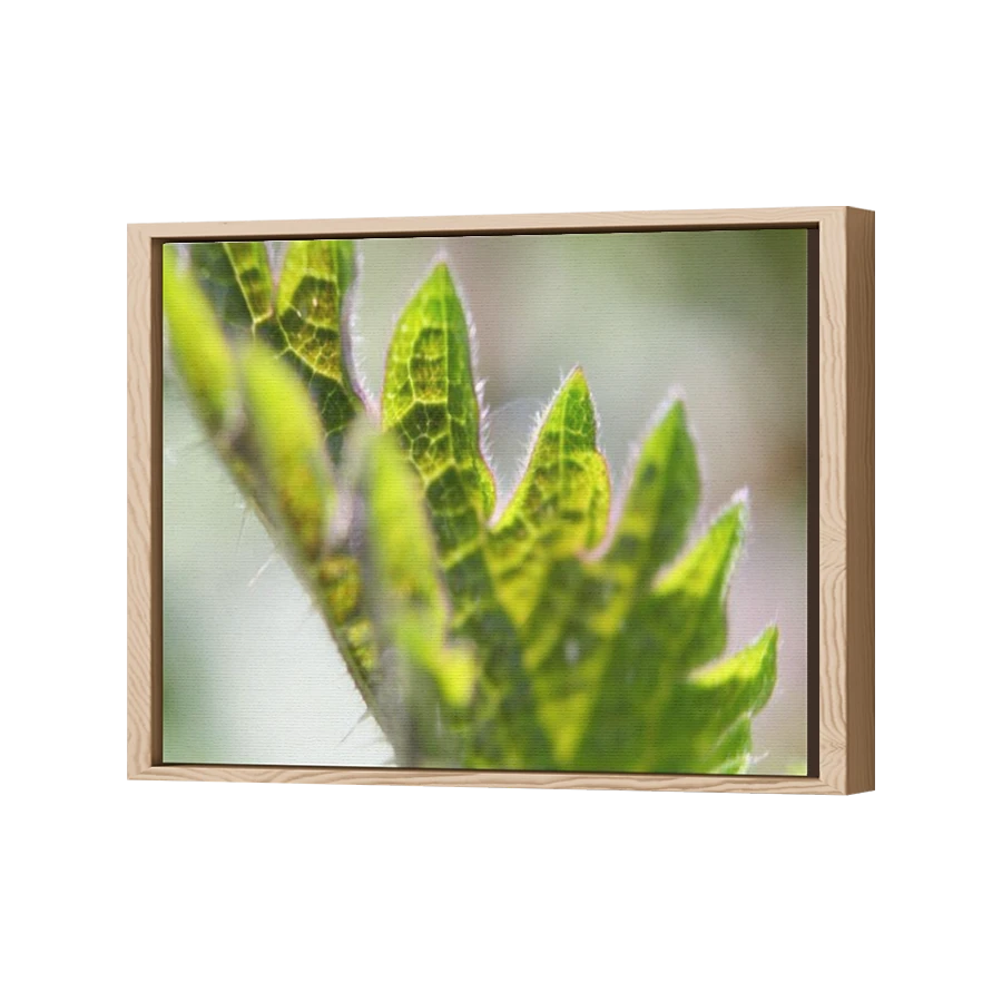 Thumbnail for Canvas - Wood Grain Floating Frame