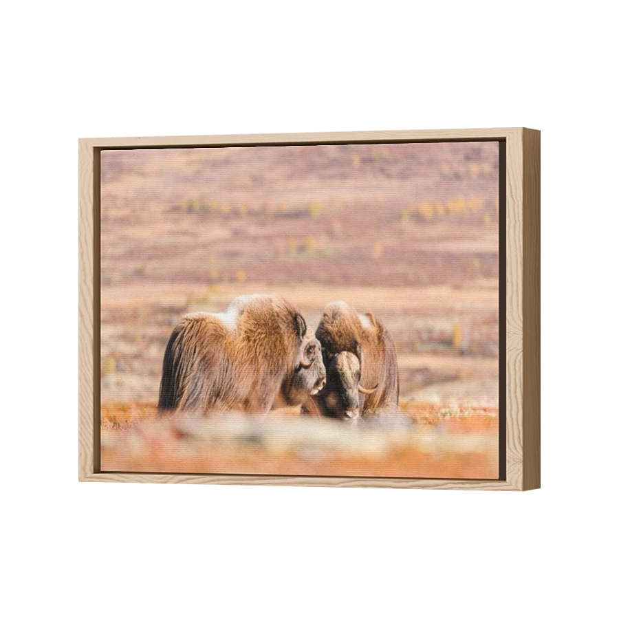 Thumbnail for Canvas - Wood Grain Floating Frame