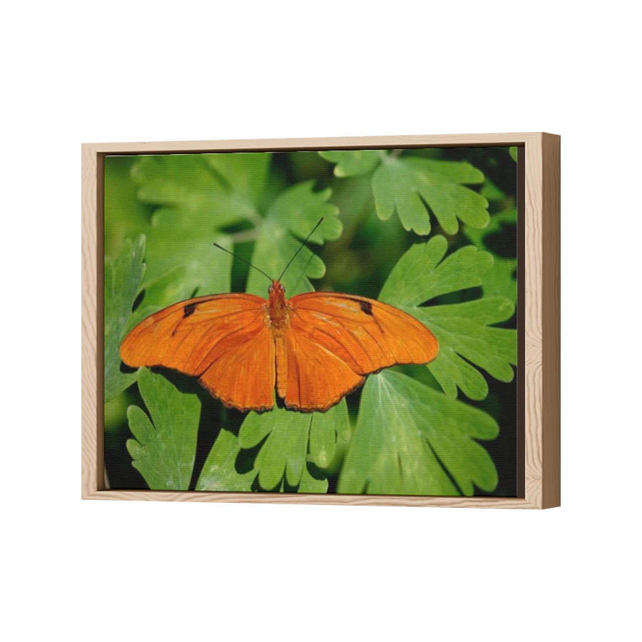 Thumbnail for Canvas - Wood Grain Floating Frame