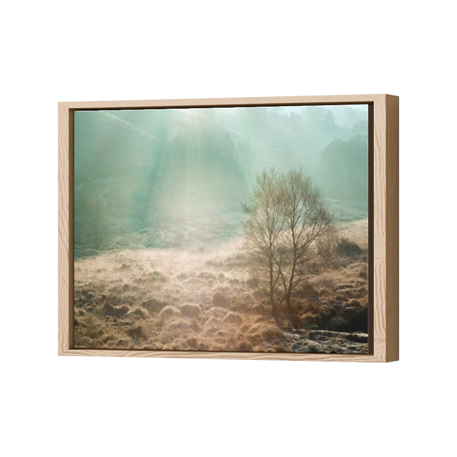 Thumbnail for Canvas - Wood Grain Floating Frame