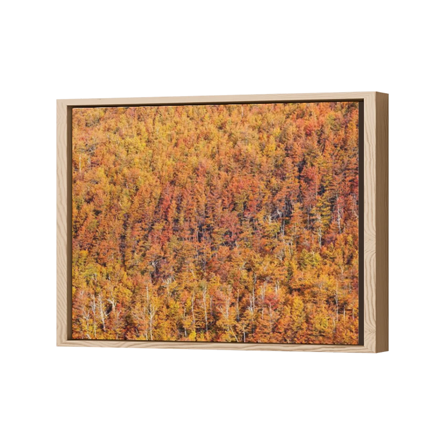 Thumbnail for Canvas - Wood Grain Floating Frame