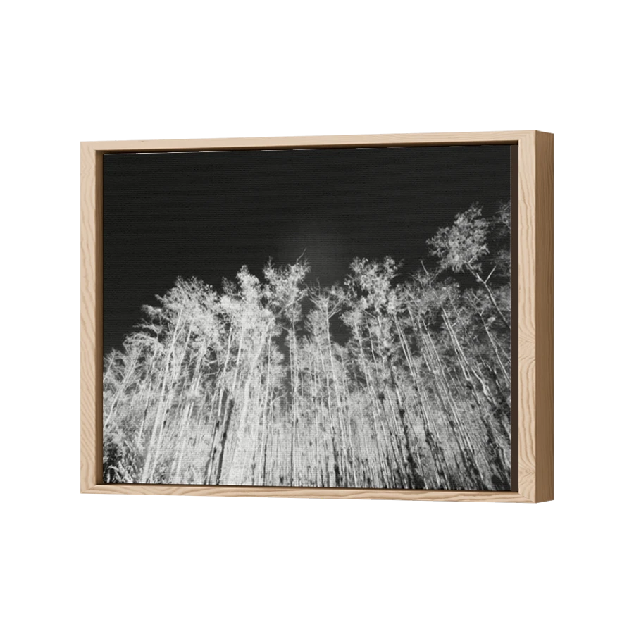 Thumbnail for Canvas - Wood Grain Floating Frame