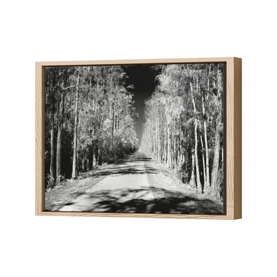 Thumbnail for Canvas - Wood Grain Floating Frame