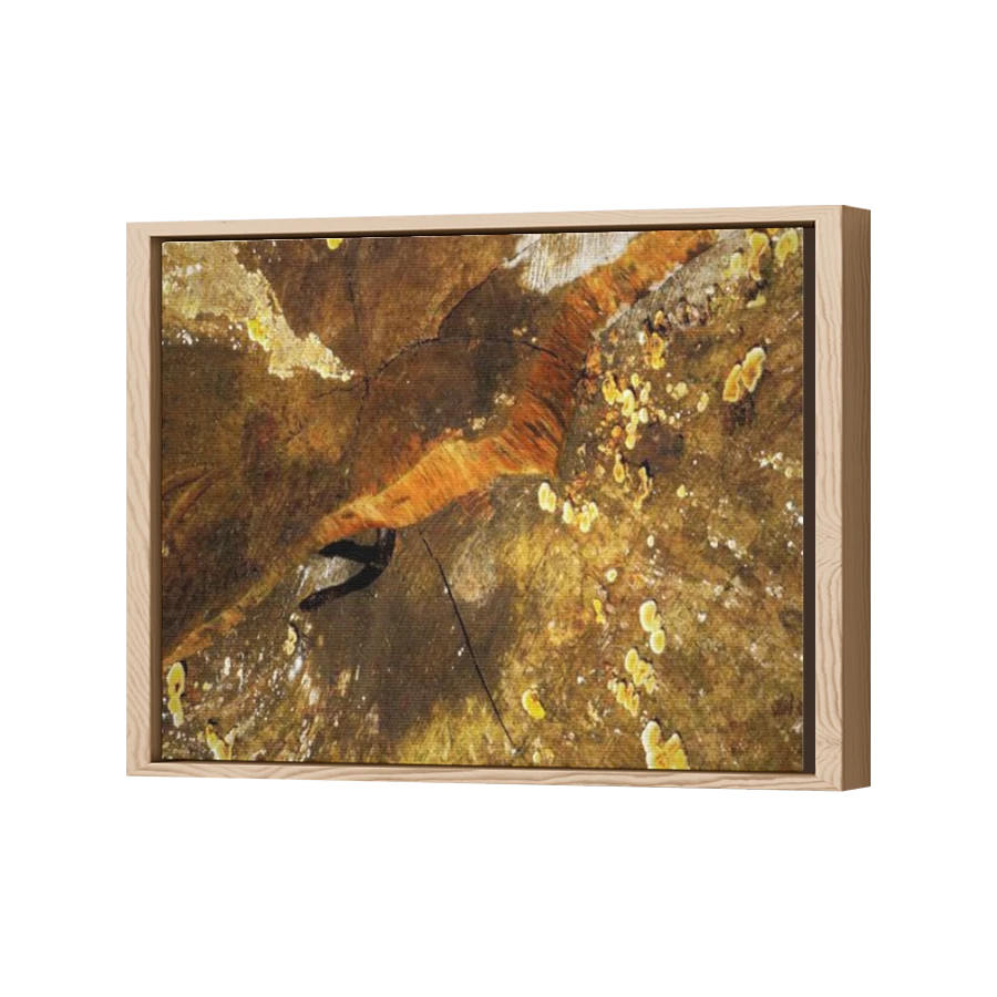 Thumbnail for Canvas - Wood Grain Floating Frame