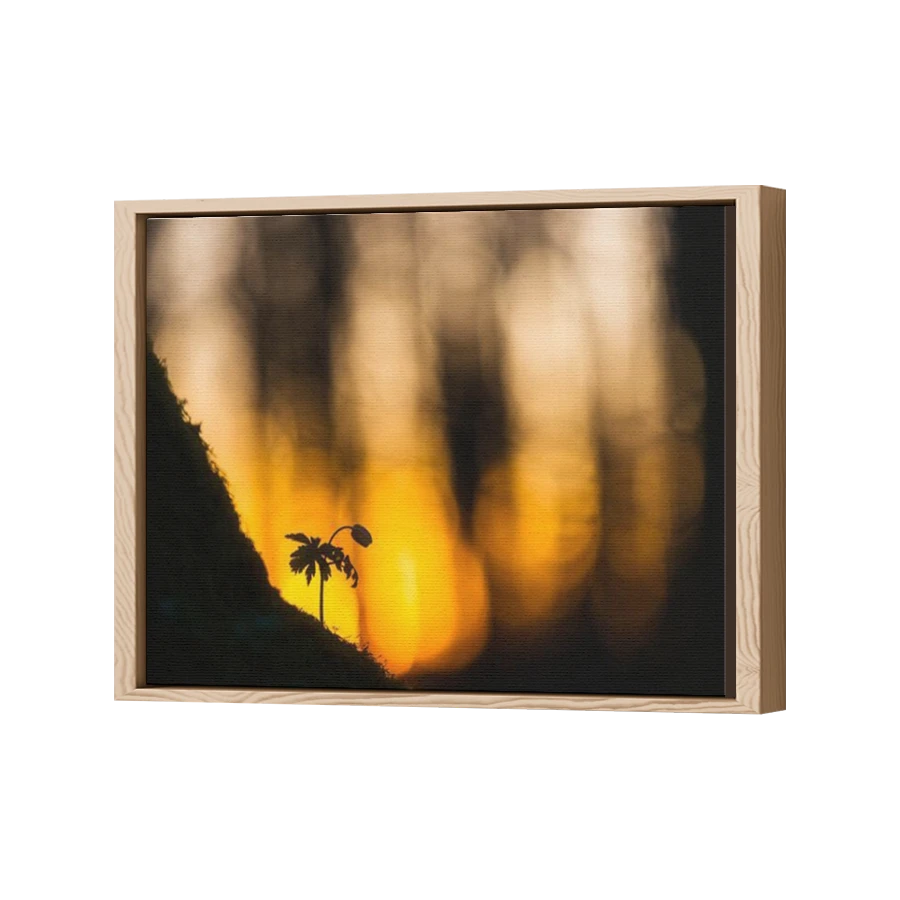 Thumbnail for Canvas - Wood Grain Floating Frame