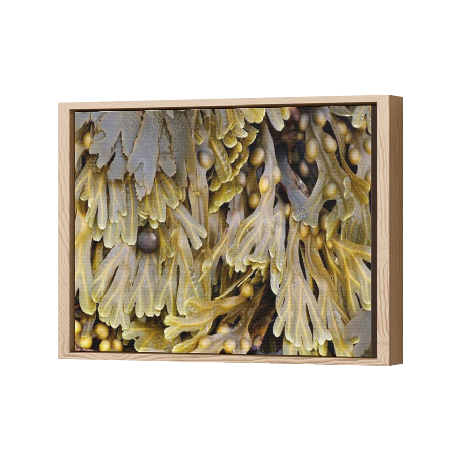 Thumbnail for Canvas - Wood Grain Floating Frame