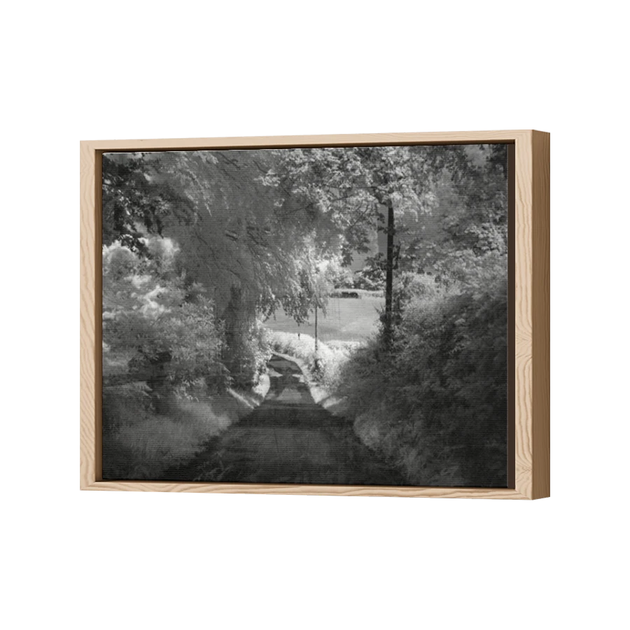 Thumbnail for Canvas - Wood Grain Floating Frame