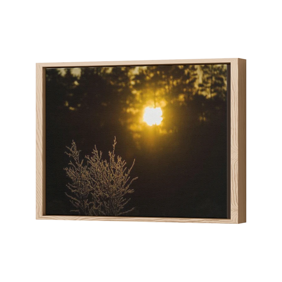 Thumbnail for Canvas - Wood Grain Floating Frame