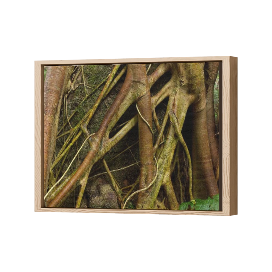 Thumbnail for Canvas - Wood Grain Floating Frame