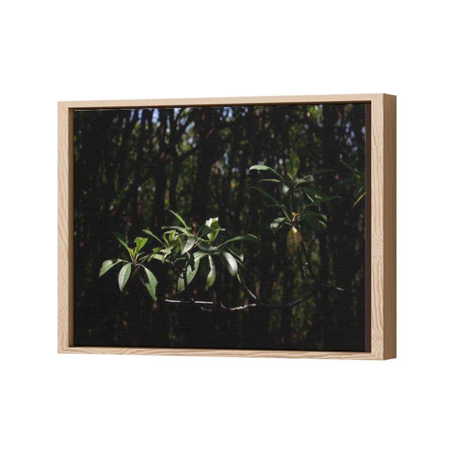 Thumbnail for Canvas - Wood Grain Floating Frame