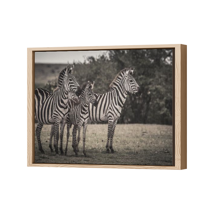 Thumbnail for Canvas - Wood Grain Floating Frame
