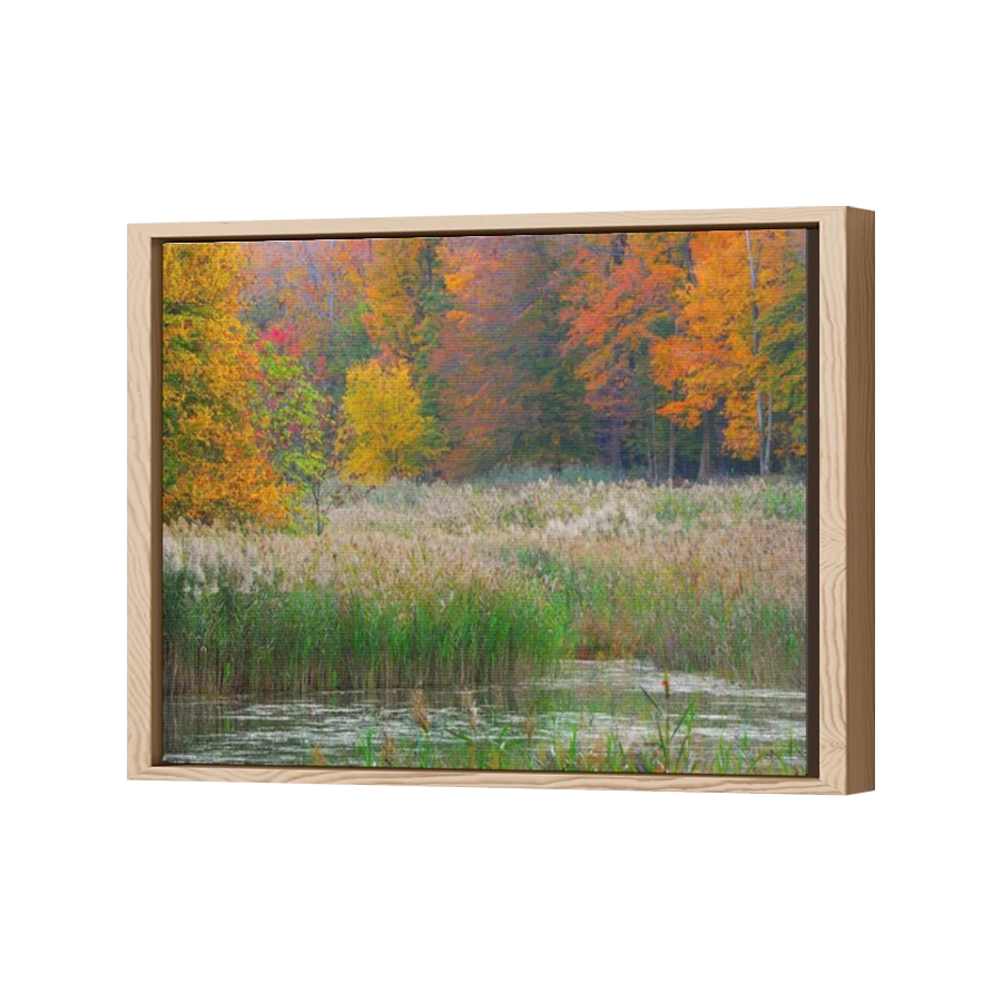 Thumbnail for Canvas - Wood Grain Floating Frame