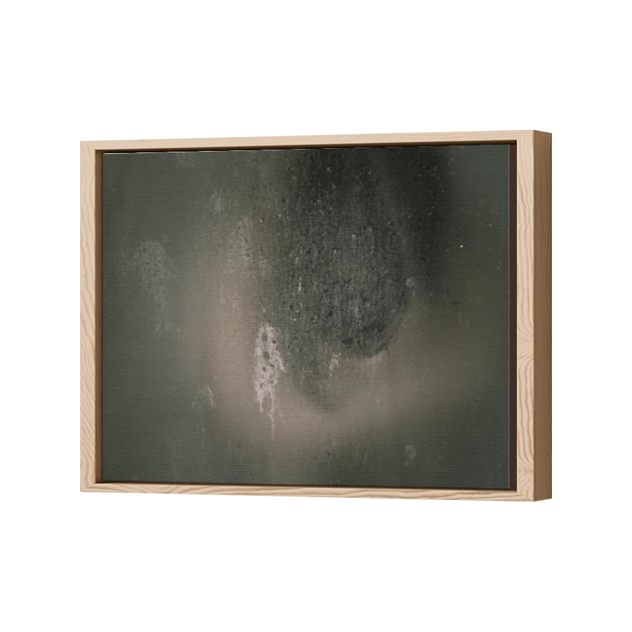 Thumbnail for Canvas - Wood Grain Floating Frame
