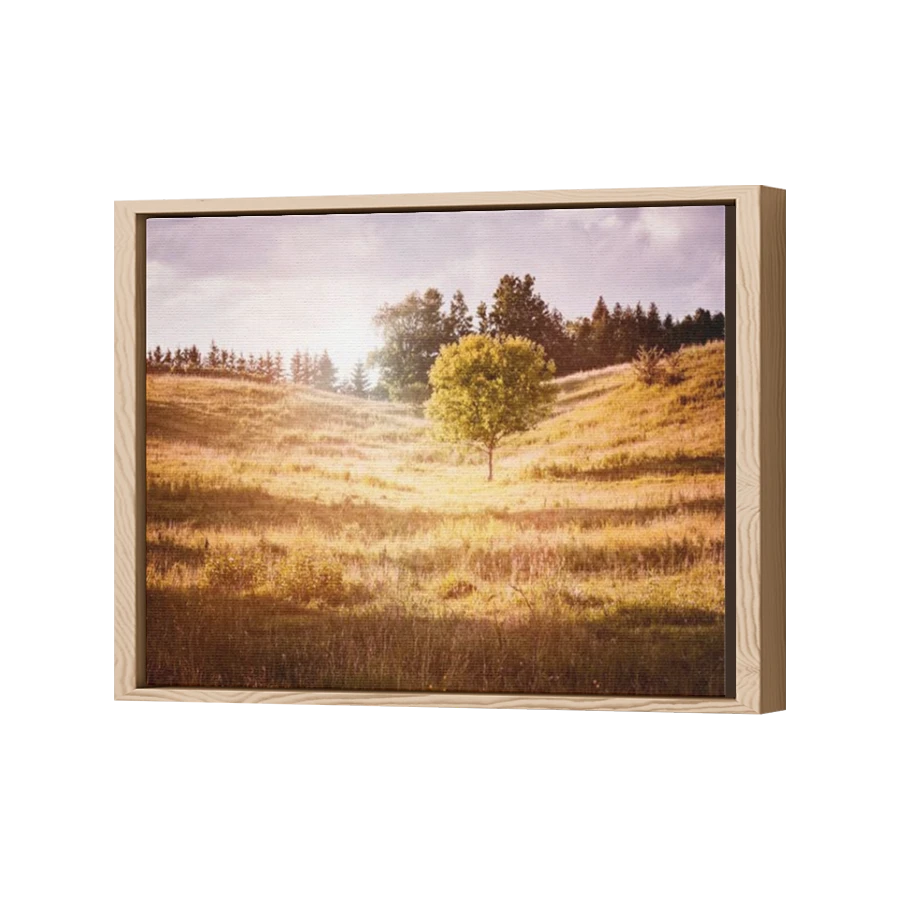 Thumbnail for Canvas - Wood Grain Floating Frame