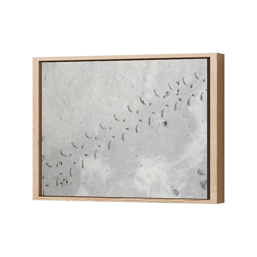 Thumbnail for Canvas - Wood Grain Floating Frame