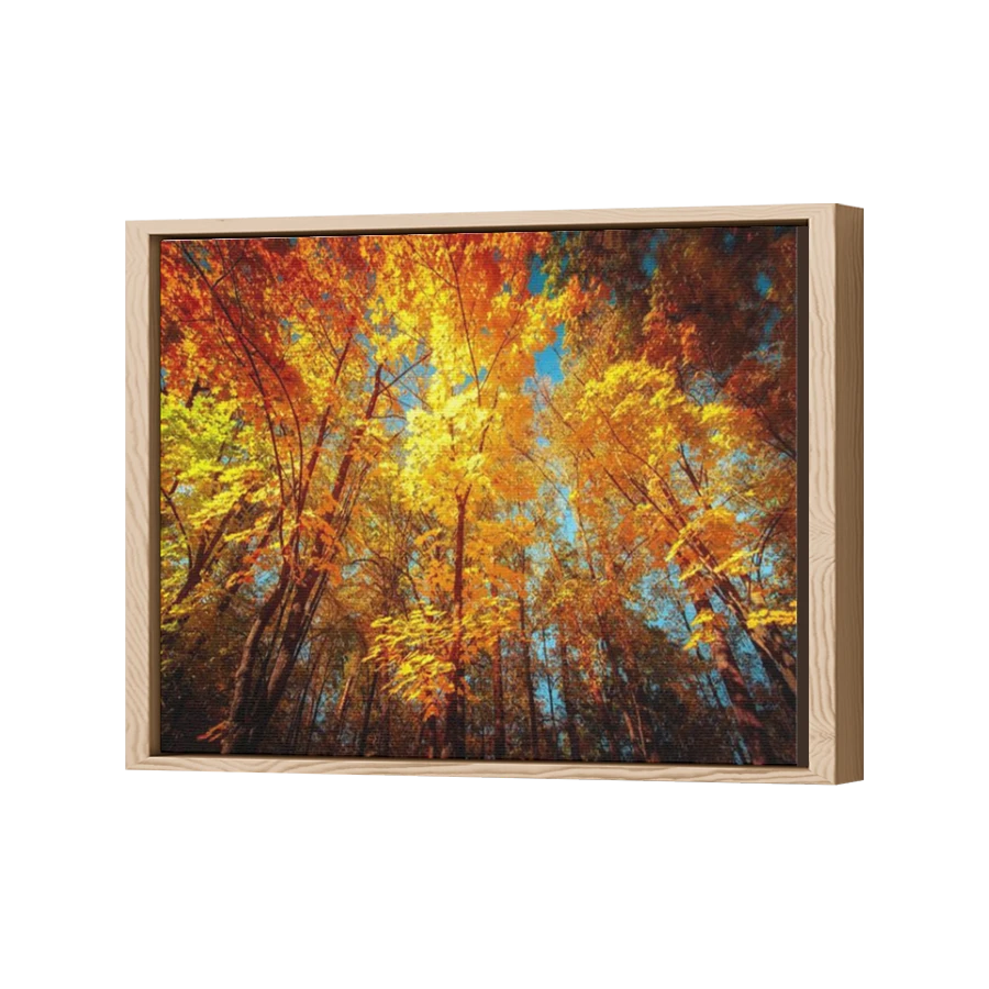 Thumbnail for Canvas - Wood Grain Floating Frame