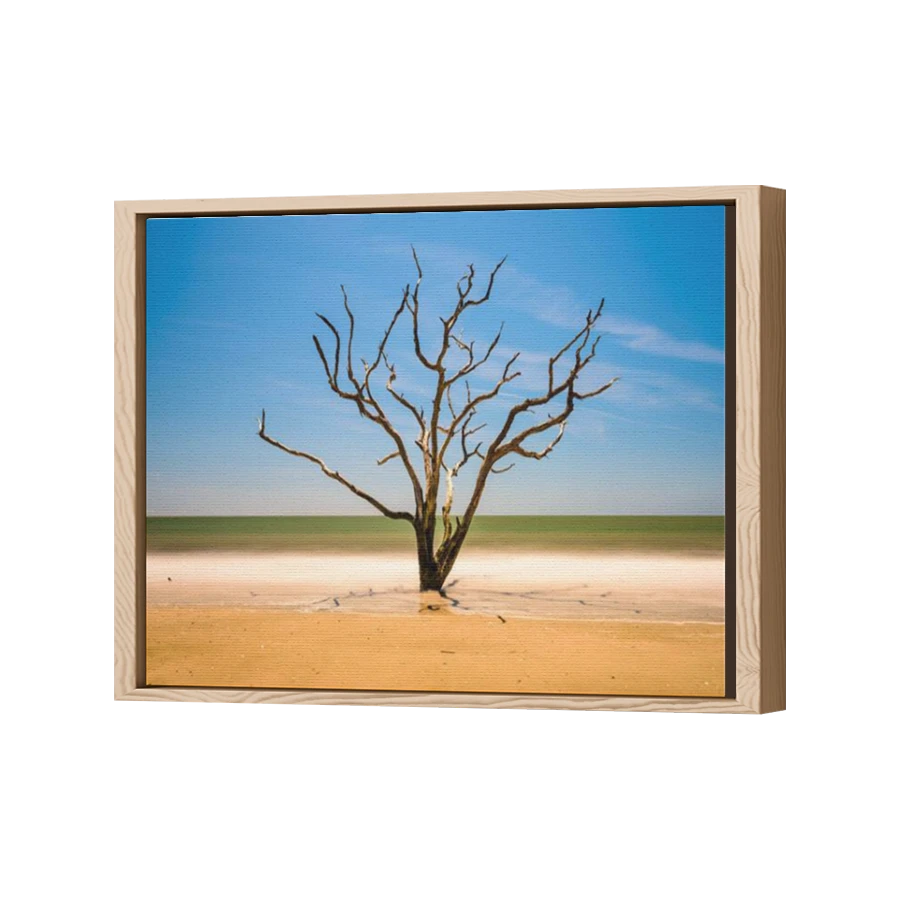 Thumbnail for Canvas - Wood Grain Floating Frame