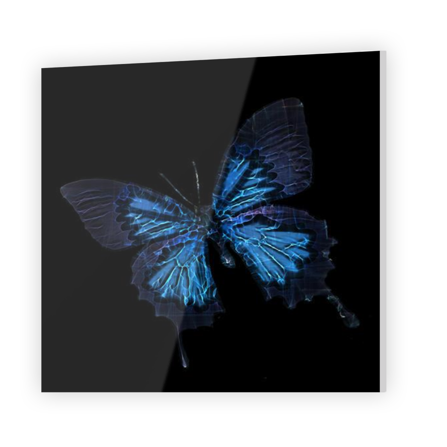Thumbnail for Acrylic