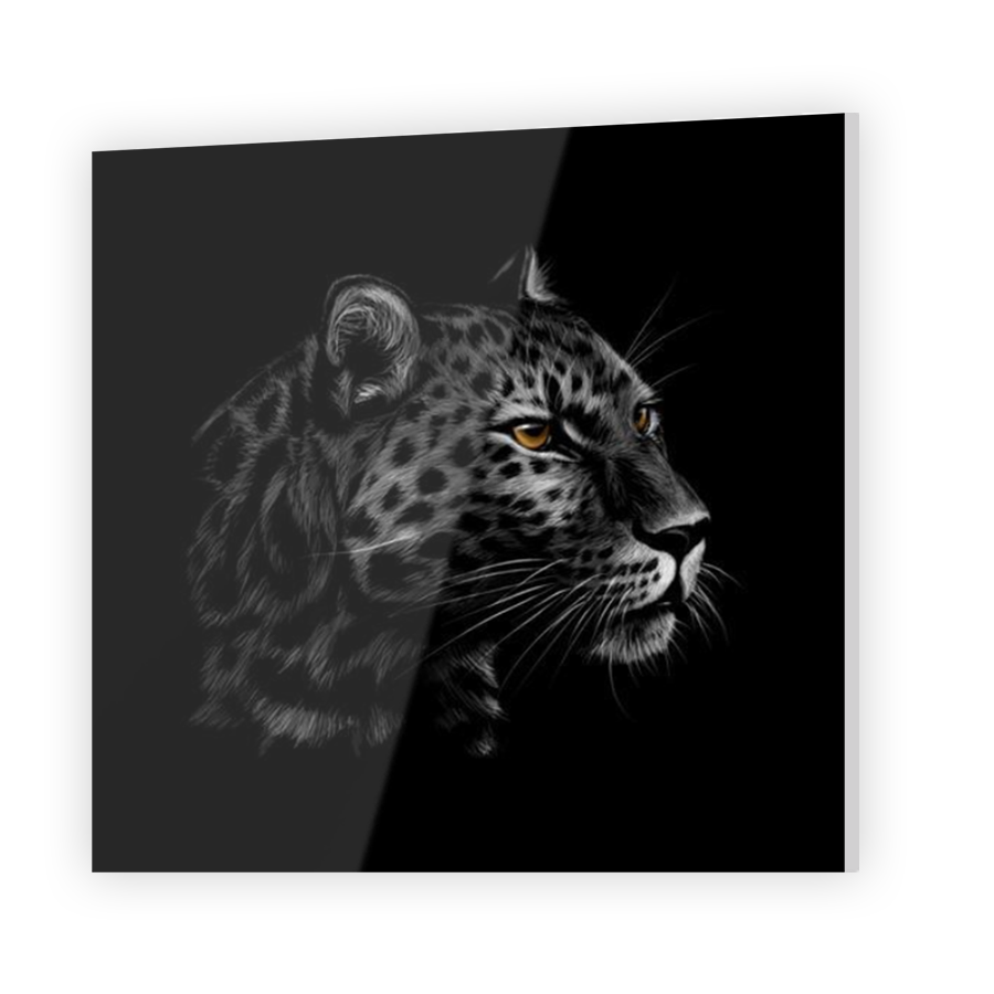 Thumbnail for Acrylic