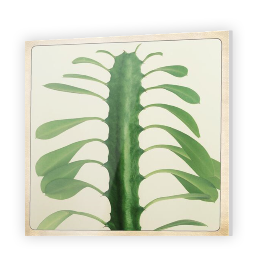 Thumbnail for Acrylic