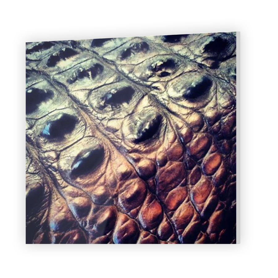 Thumbnail for Acrylic