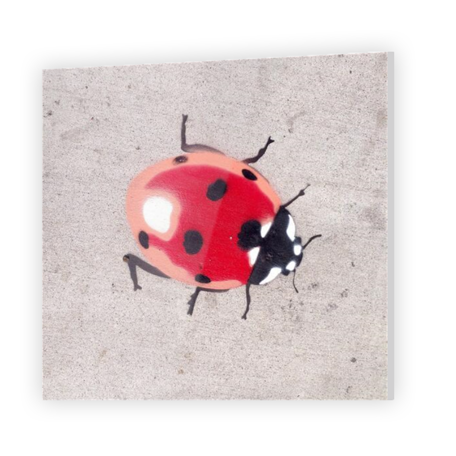 Thumbnail for Acrylic