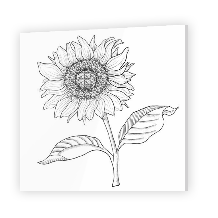 Thumbnail for Acrylic