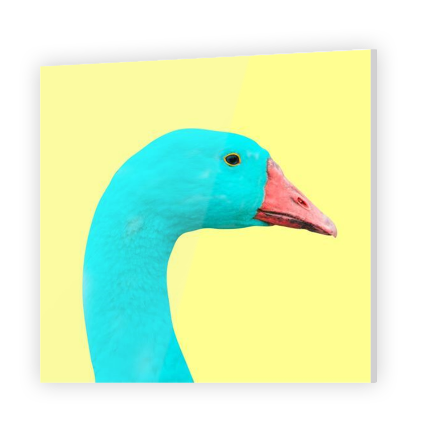 Thumbnail for Acrylic