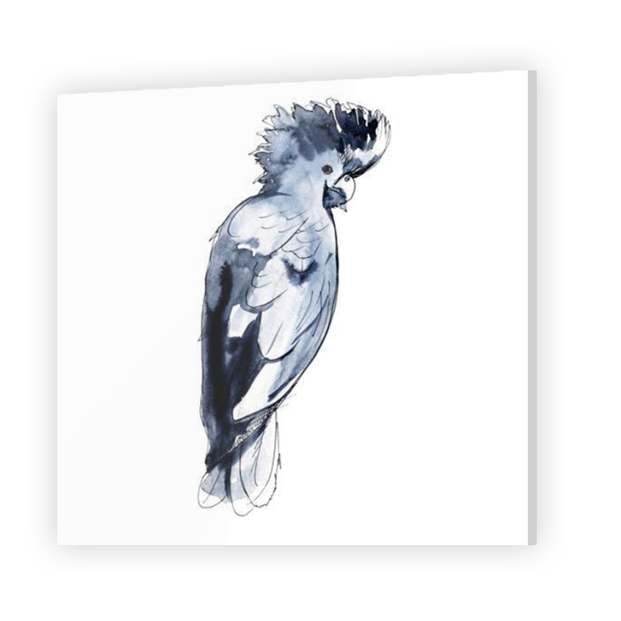 Thumbnail for Acrylic