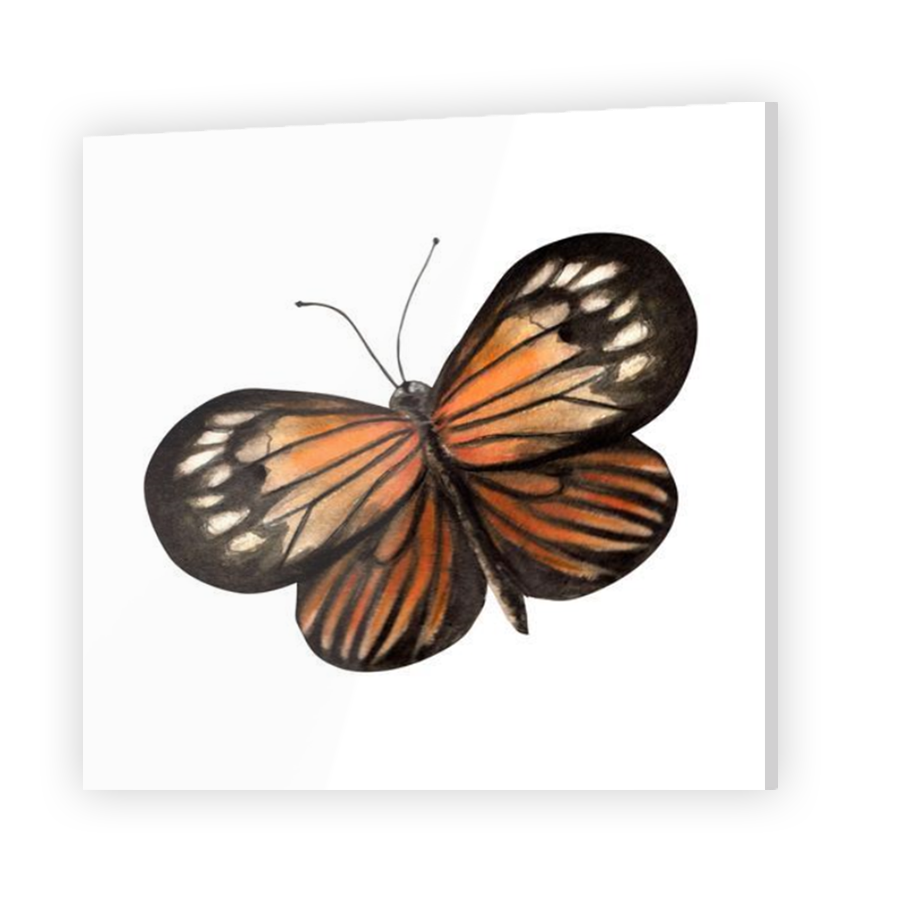 Thumbnail for Acrylic