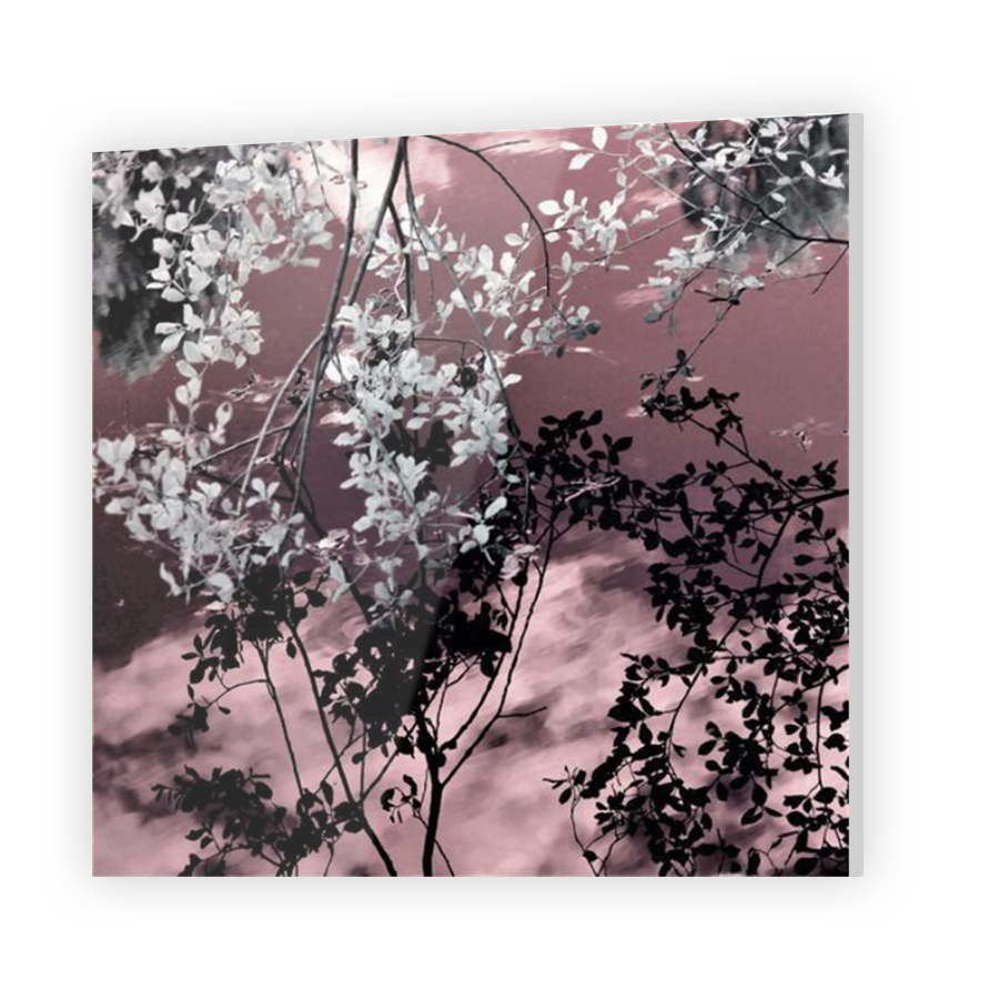 Thumbnail for Acrylic