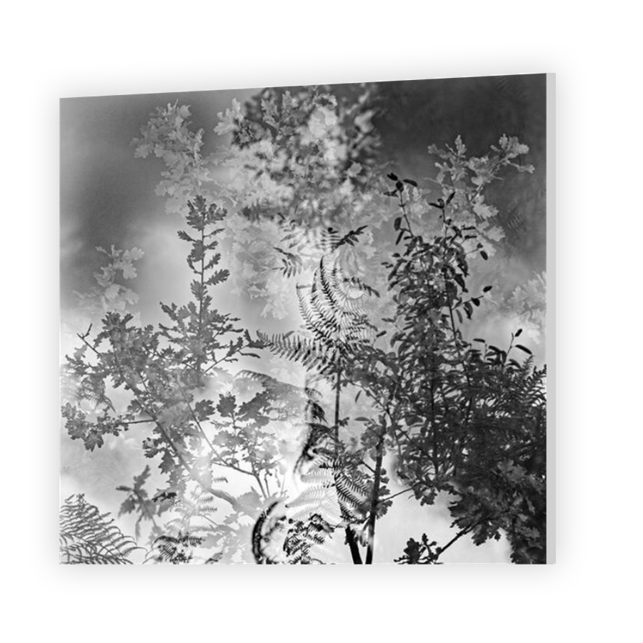 Thumbnail for Acrylic
