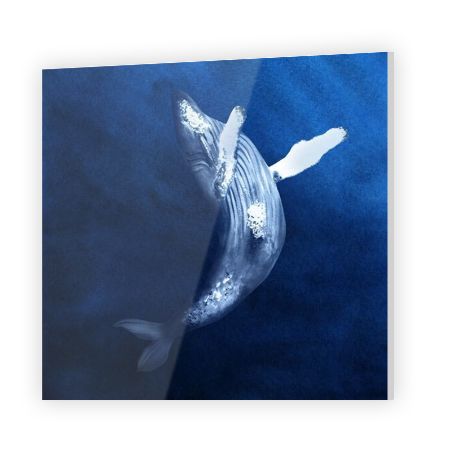 Thumbnail for Acrylic
