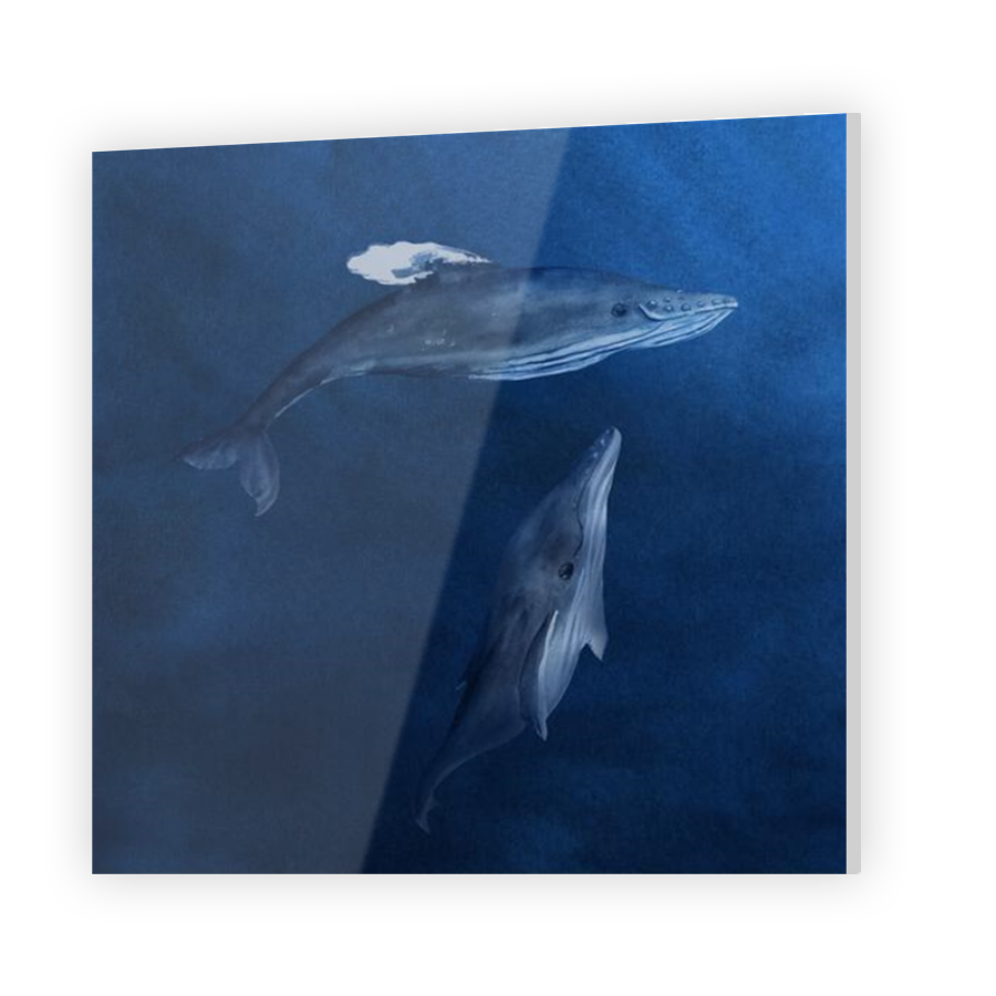 Thumbnail for Acrylic