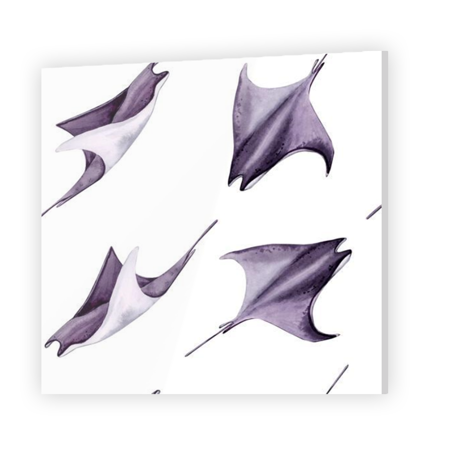 Thumbnail for Acrylic